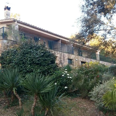 Mas Caterina Guest House Madremanya Exterior photo
