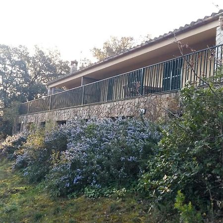 Mas Caterina Guest House Madremanya Exterior photo